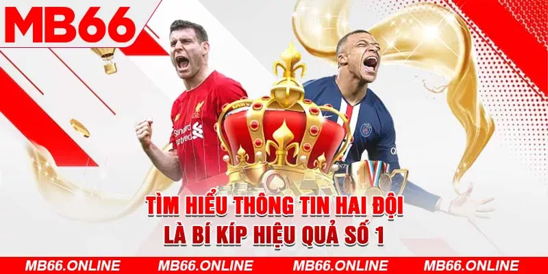 Tìm hiểu thông tin hai đội là bí kíp hiệu quả số 1