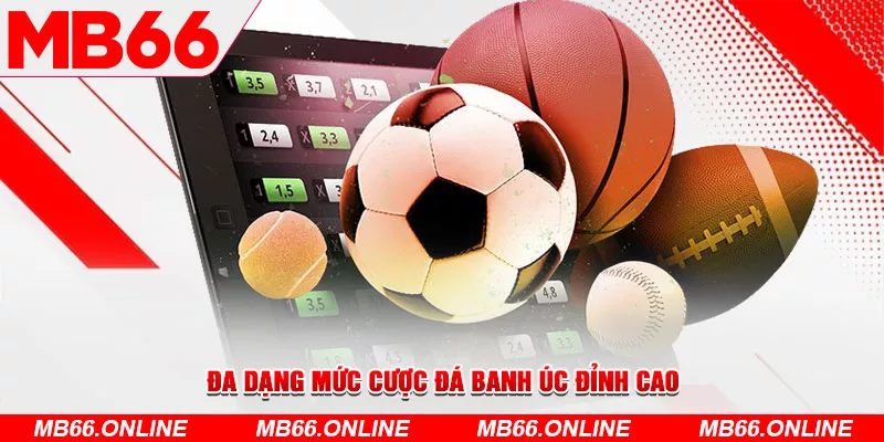 Đa dạng mức cược đá banh Úc đỉnh cao