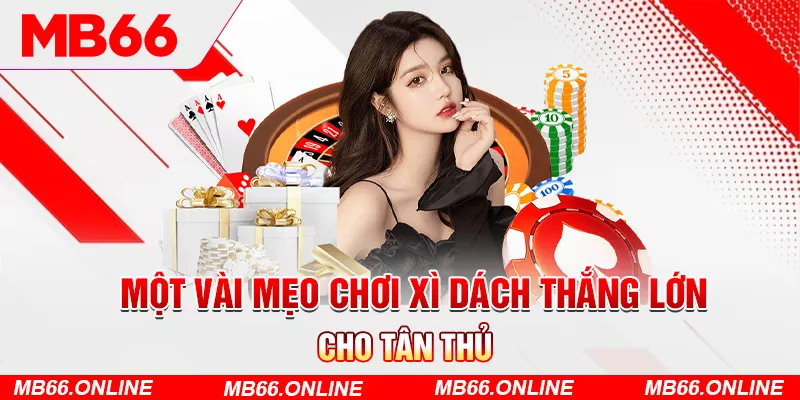 3-mot-vai-meo-choi-xi-dach-thang-lon-cho-tan-thu