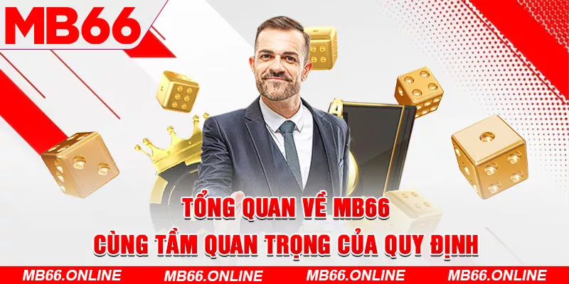 Tầm quan trọng của điều khoản và điều kiện MB66 